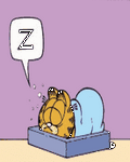 pic for Garfield Sleep
